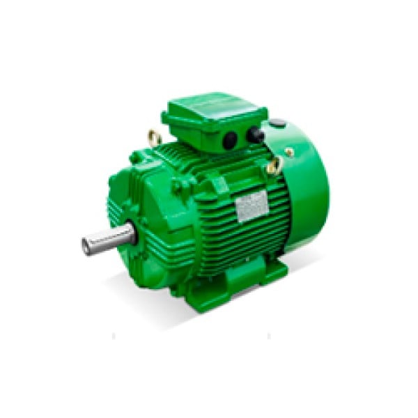 Motor Elétrico Trifásico