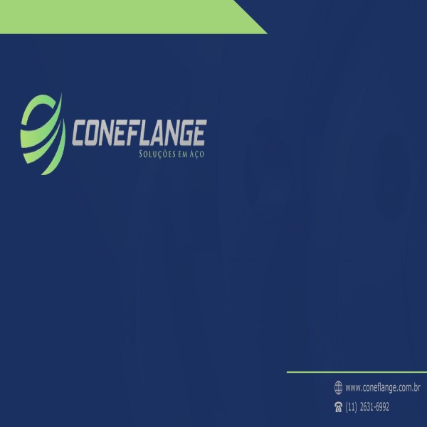 FLANGES E CONEXÕES