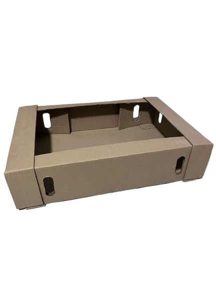 Caixa De Papelão Para Frigorífico