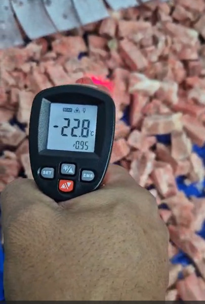 Máquina de Congelamento IQF Rápido