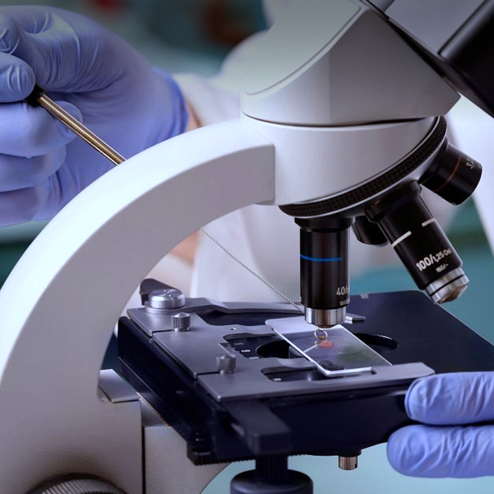 Calibração De Microscópio Com Padrões Jis B7184