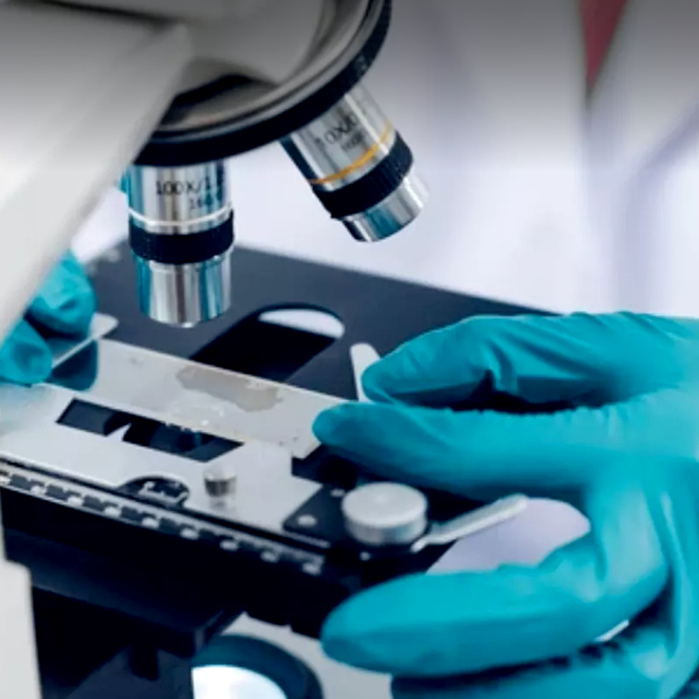 Calibração De Microscópio