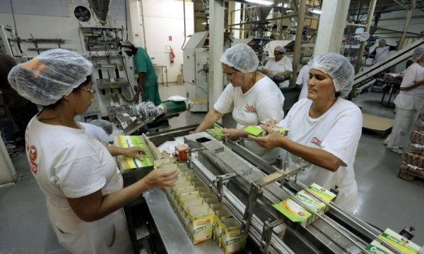 Terceirização De Serviços Para Industrias Em Sp