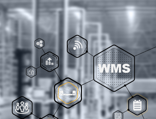 Software WMS e WCS