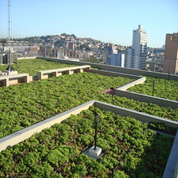 Projeto Telhado Verde