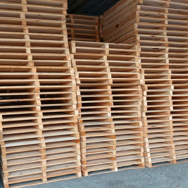 Pallet 100 X 100