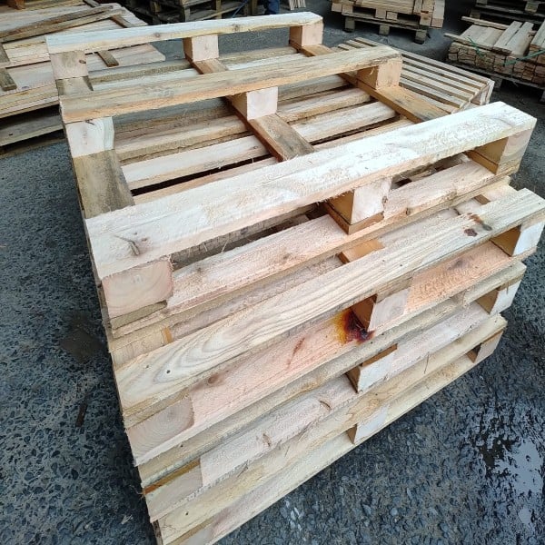 Pallet Madeira Novo
