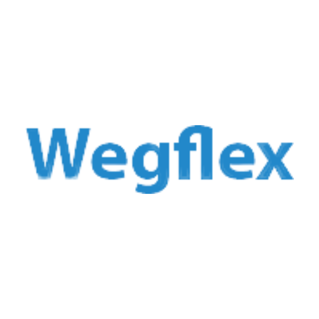 WEGFLEX INDUSTRIA