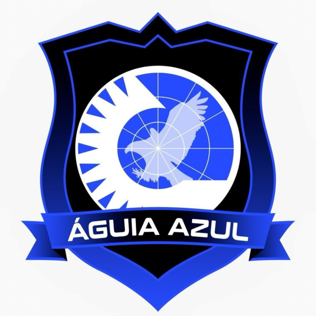 ÁGUIA AZUL SISTEMAS DE SEGURANÇA