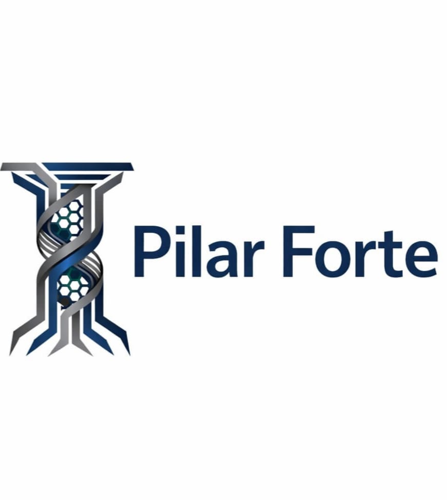 PILAR FORTE INDUSTRIA