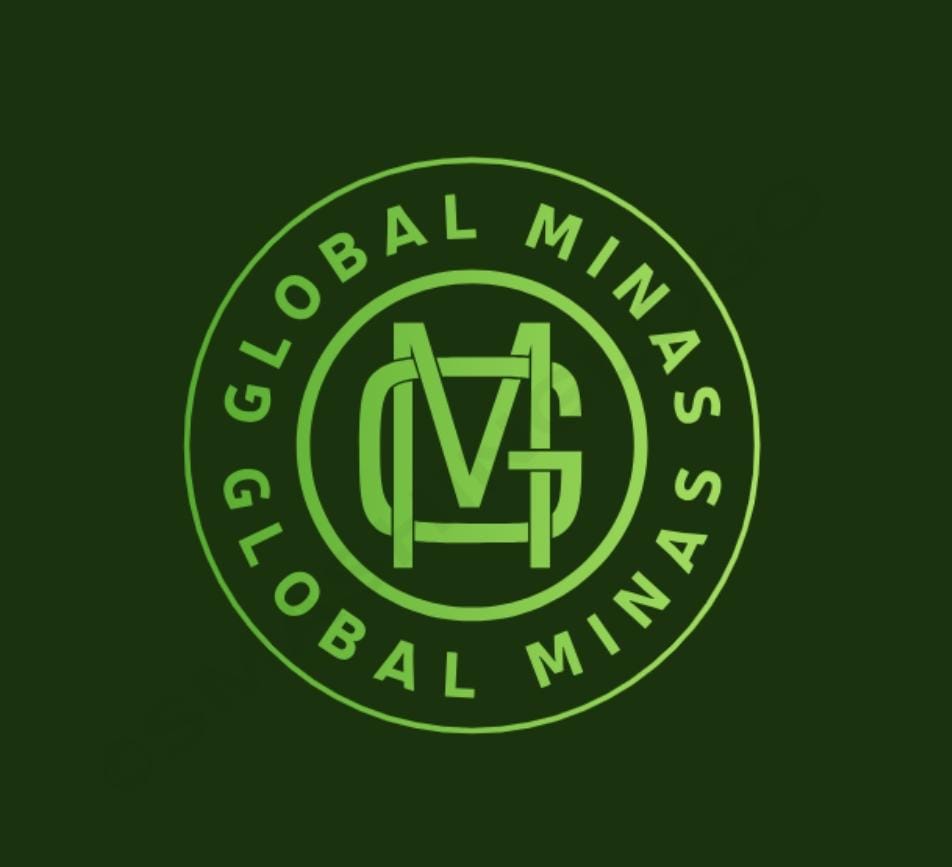 GLOBAL MINAS COMERCIO VAREJISTA DE TINTAS E MATERI