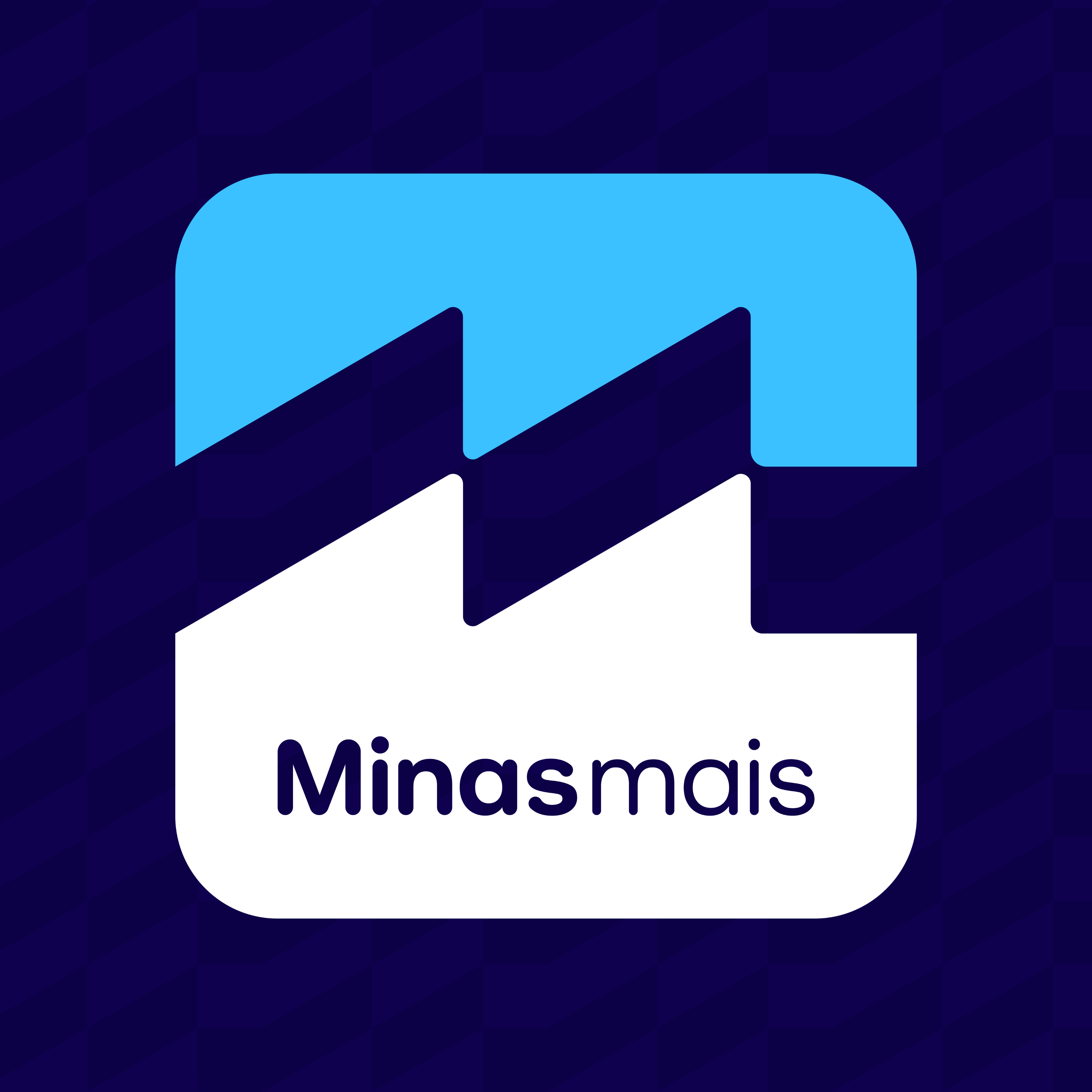 MINAS MAIS INDÚSTRIA E COMÉRCIO LTDA