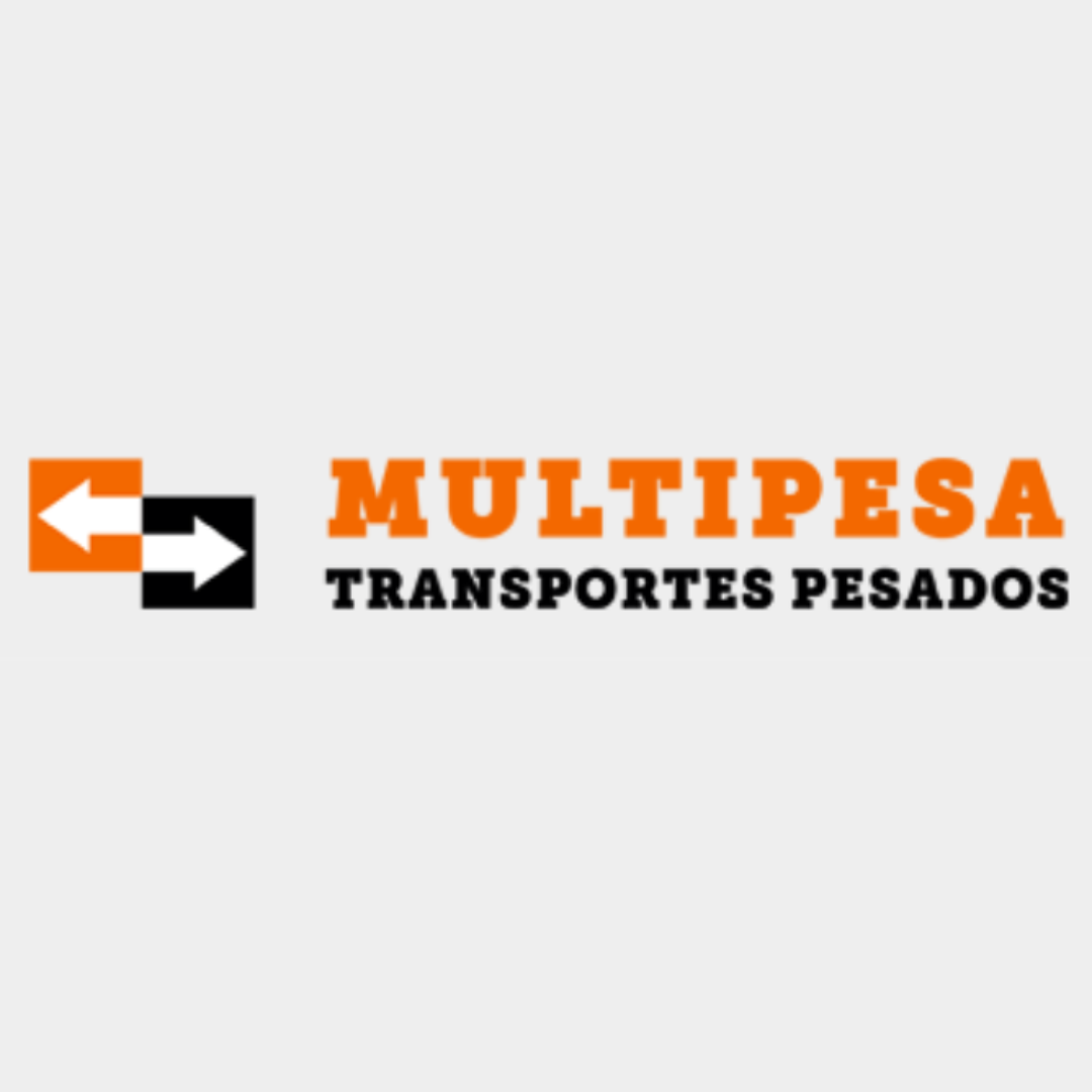 MULTIPESA TRANSPORTE E LOCAÇÃO DE GUINDASTES LTDA