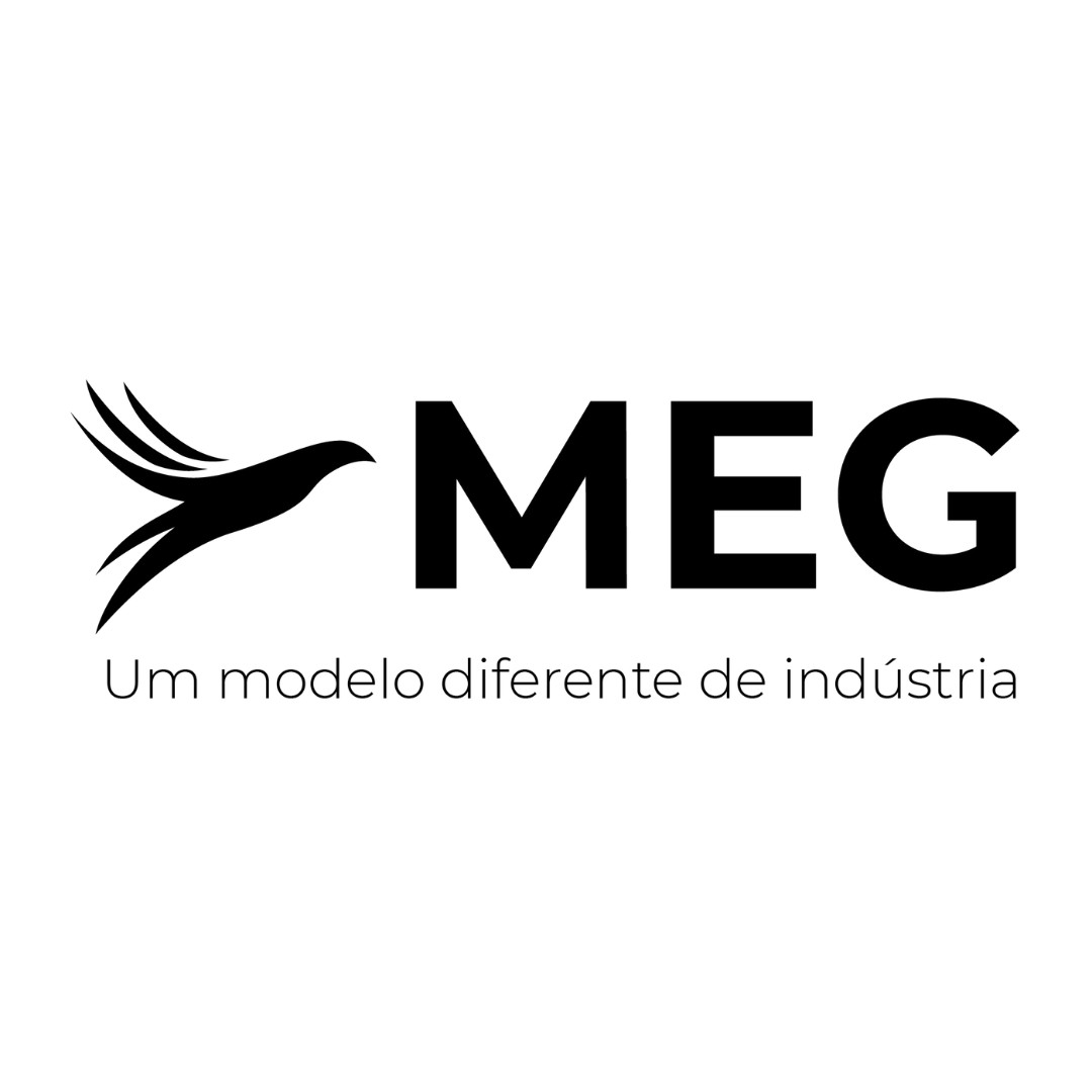 MEG