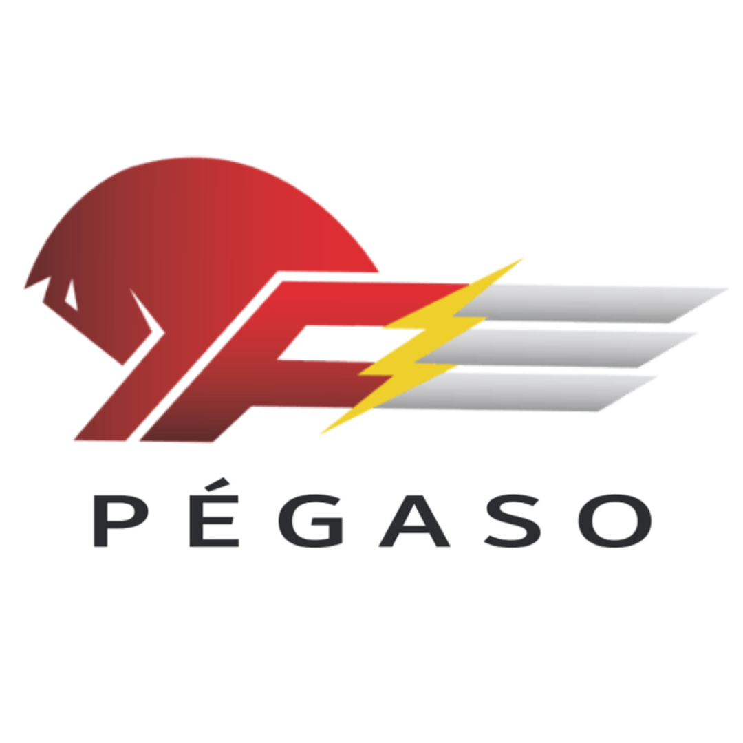 PÉGASO SOLUÇÕES ELÉTRICAS