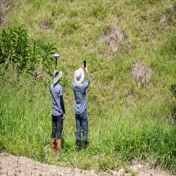 Autorização Para Intervenção Ambiental