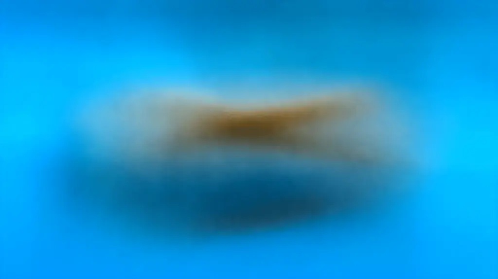 sacolinha de plastico pequena