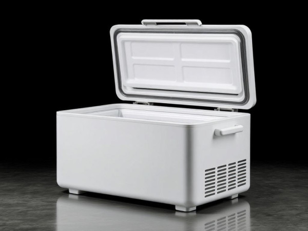Container Camara Fria