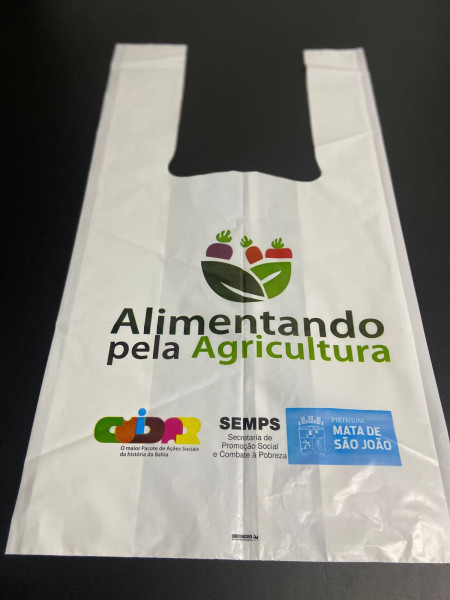 Sacola plástica personalizada 20x30