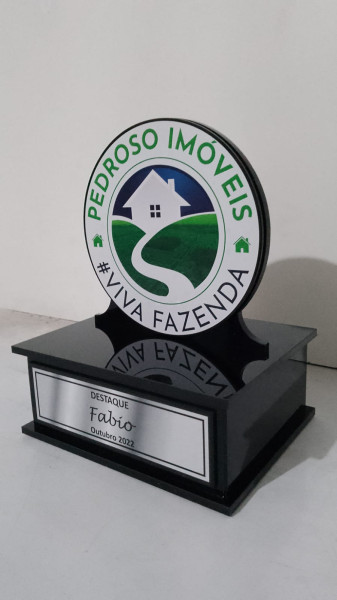 Troféus De Acrílico Paraná